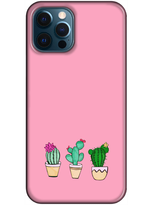 color-Pembe