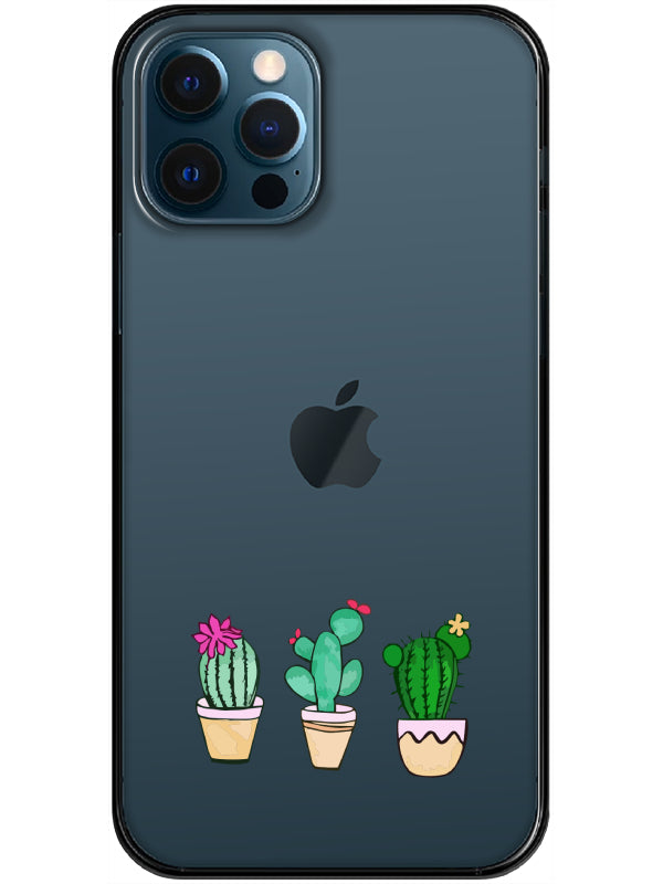 color-Seffaf