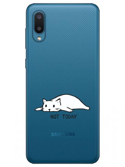 Samsung A02 Not Today Kedi Şeffaf Telefon Kılıfı